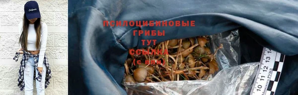 СК Балахна