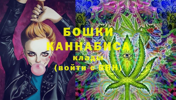 молекула духа Аркадак