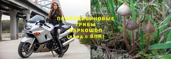 молекула духа Арсеньев