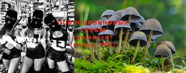 гидропоника Баксан