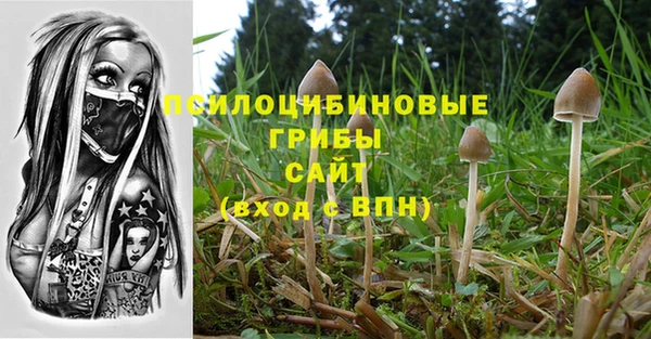 СК Балахна